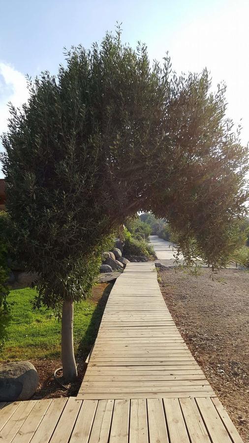 فيلا Berale كفار كيش المظهر الخارجي الصورة
